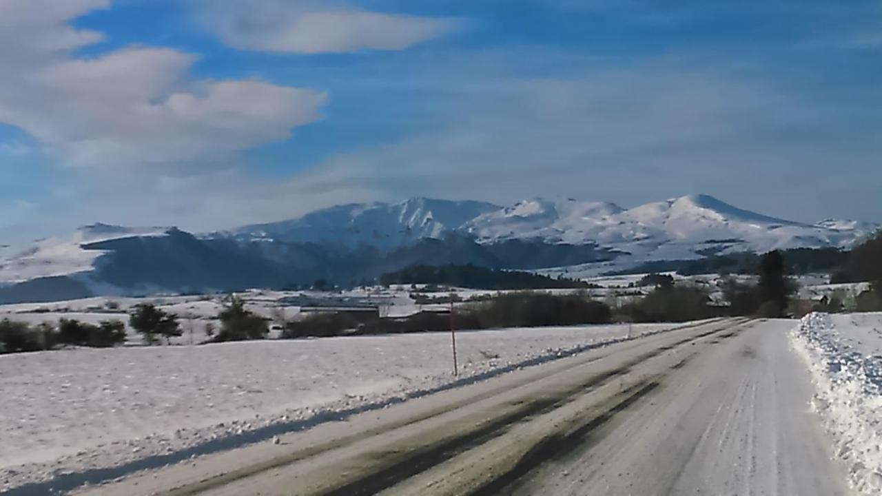 Tulipe, Appartement 5 Personnes, Entre Sancy Et Volcans D'Auvergne Orcival Exterior foto
