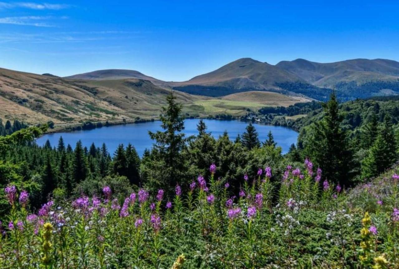 Tulipe, Appartement 5 Personnes, Entre Sancy Et Volcans D'Auvergne Orcival Exterior foto
